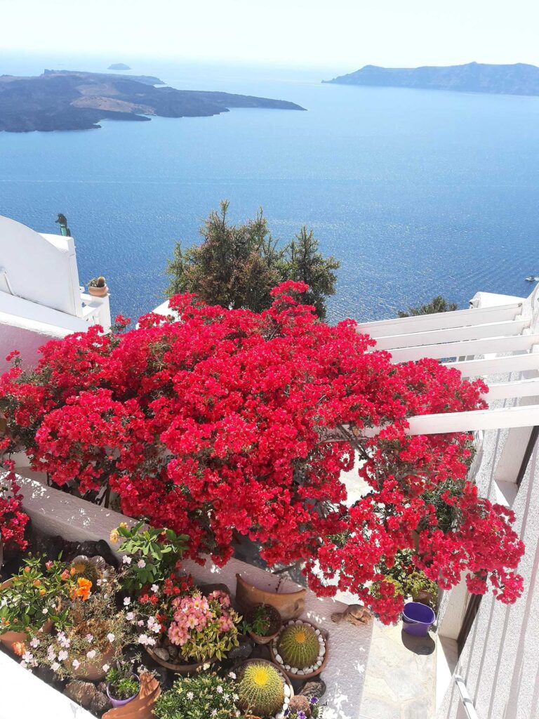 View of the Volcano island, Santorini